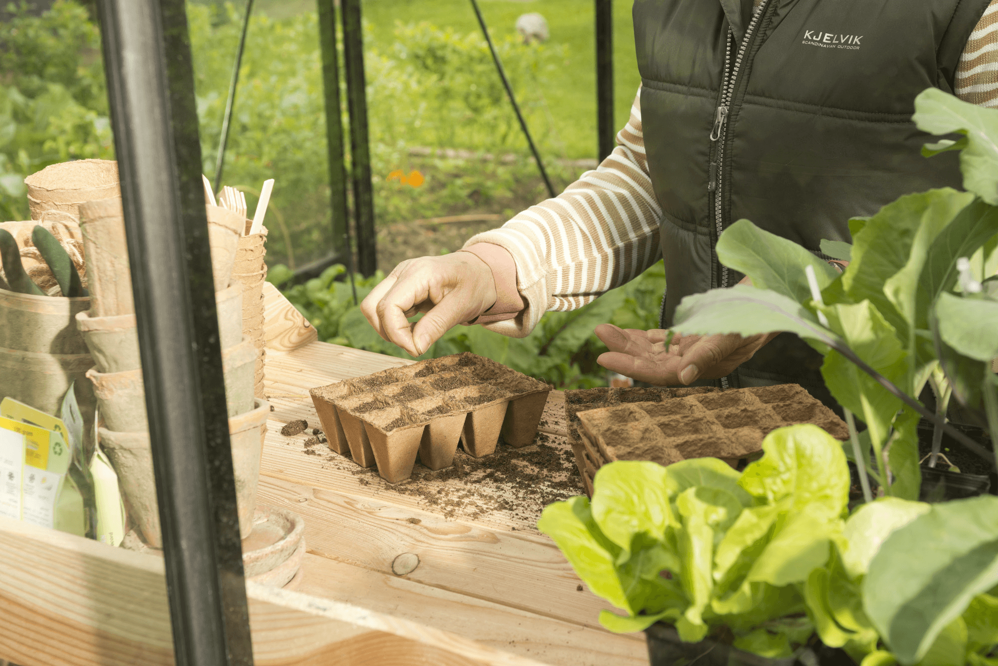 header koude kas kalender februari